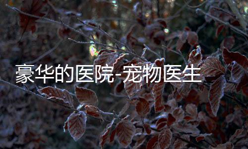 豪华的医院-宠物医生 1.0.14下载