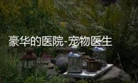 豪华的医院-宠物医生 1.0.14