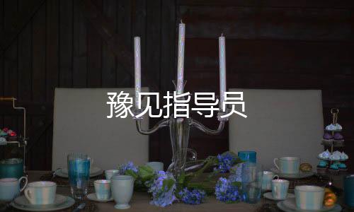 豫见指导员下载