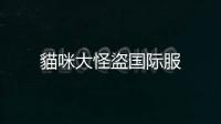 貓咪大怪盜国际服