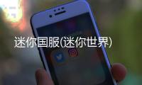 迷你国服(迷你世界)