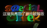 这猪我养定了游戏破解版