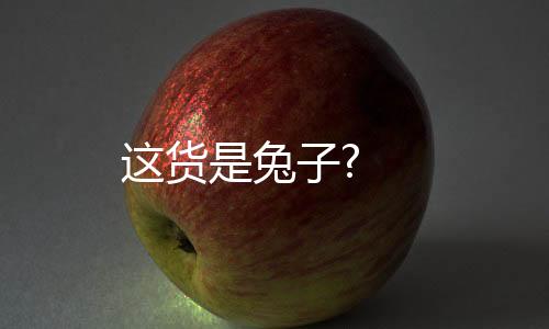 这货是兔子?下载