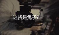 这货是兔子? 
