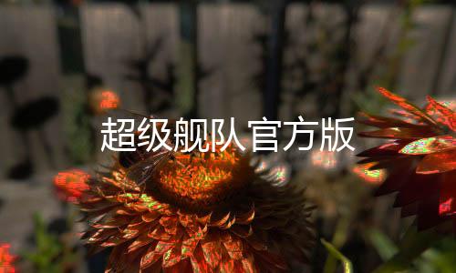 超级舰队官方版下载