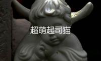 超萌起司猫