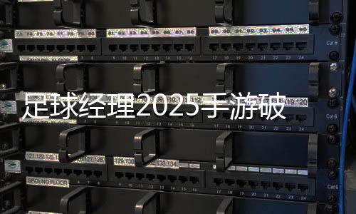 足球经理2025手游破解版下载