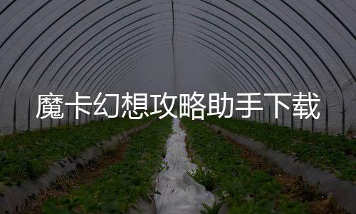 魔卡幻想攻略助手下载下载