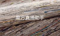 魔方直播助手