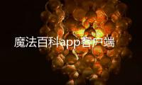 魔法百科app客户端