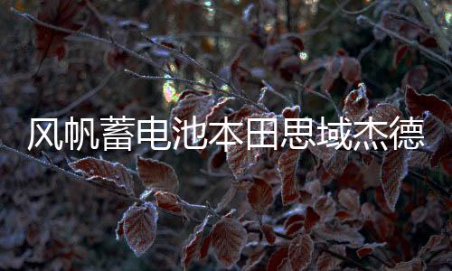风帆蓄电池本田思域杰德凌派奥德赛思铭轩逸骐达原装45ah汽车电瓶下载