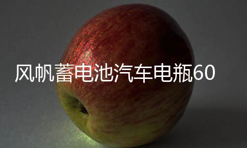 风帆蓄电池汽车电瓶60AH配大众途观宝来速腾甲壳虫科鲁兹明锐标致下载