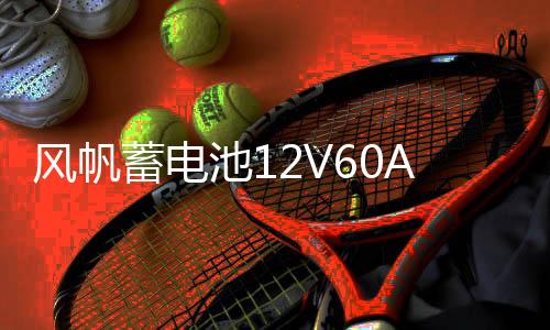 风帆蓄电池12V60AH大众/宝来/高尔夫6/高尔夫7/速腾/迈腾汽车电瓶下载