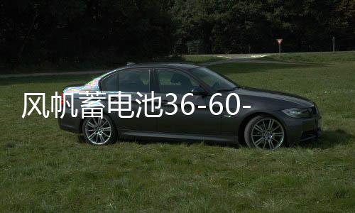 风帆蓄电池36-60-70-80-110AH原装汽车电瓶 各种车型北京上门安装下载