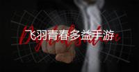 飞羽青春多益手游