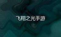飞翔之光手游