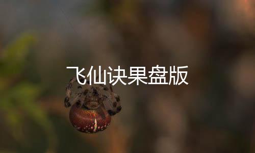 飞仙诀果盘版下载
