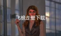 飞檐走壁下载