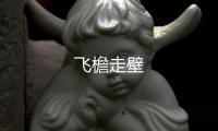 飞檐走壁