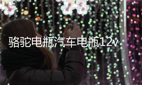 骆驼电瓶汽车电瓶12v45ah免维护汽车蓄电池下载