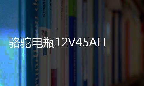 骆驼电瓶12V45AH适配长安之星面包车五菱宏光s东风小康汽车蓄电池下载