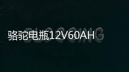 骆驼电瓶12V60AH适配长安逸动悦翔睿骋志翔莲花汽车蓄电池L2350下载