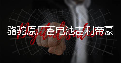 骆驼原厂蓄电池吉利帝豪ec718远景/现代朗动悦动原装60ah汽车电瓶下载