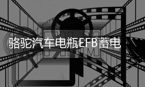 骆驼汽车电瓶EFB蓄电池60ah适配本田思域雅阁哈弗H6大众宝来专用下载