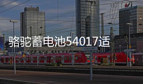 骆驼蓄电池54017适用比亚迪F012V40AHF0适配电瓶专用配套汽车电瓶下载