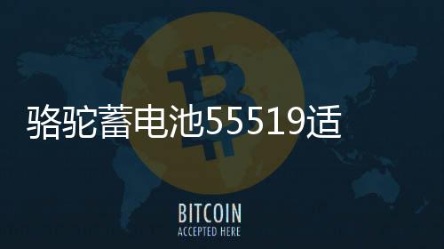 骆驼蓄电池55519适配福克斯嘉年华传祺赛欧名爵汽车电瓶12V55ah下载