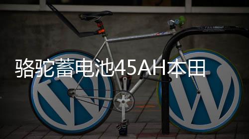 骆驼蓄电池45AH本田杰德凌派思域现代瑞纳/I30起亚K2适配汽车电瓶下载
