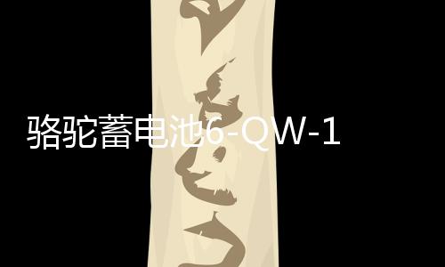 骆驼蓄电池6-QW-120-k适配依维柯货车农用车汽车电瓶 以旧换新下载