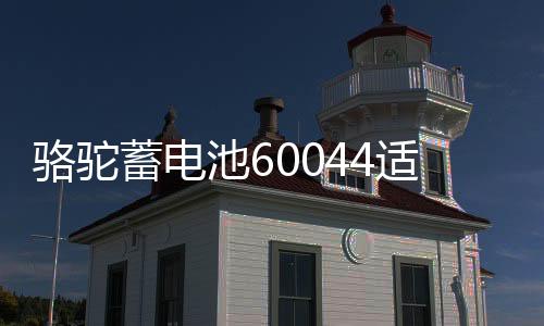 骆驼蓄电池60044适配宝马320/530/730/奔驰S级ML350汽车电瓶100AH下载