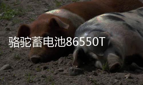 骆驼蓄电池86550T适配宝骏730 凯越指南者汽车电瓶55Ah 以旧换新下载