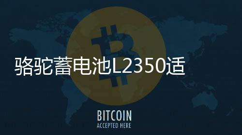 骆驼蓄电池L2350适用于东风长安悦翔睿骋逸动汽车电瓶 以旧换新下载