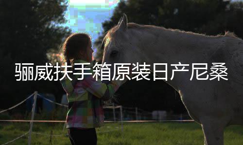 骊威扶手箱原装日产尼桑骏逸俊逸汽车中央专用手扶箱改装配件用品下载