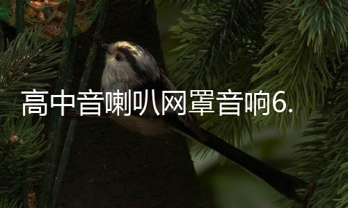 高中音喇叭网罩音响6.5寸1.5寸3寸3.5寸4寸铝合金保护网罩装饰圈下载