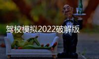 驾校模拟2022破解版完整版(Car Driving School Simulator)