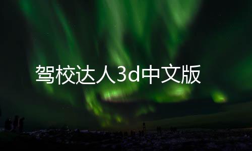 驾校达人3d中文版下载