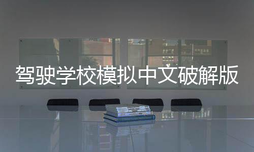 驾驶学校模拟中文破解版(Driving School Sim)下载