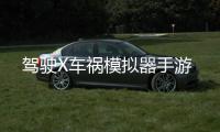 驾驶X车祸模拟器手游