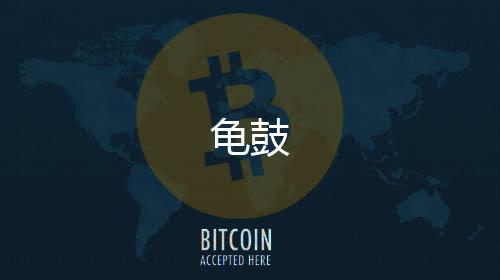 龟鼓下载