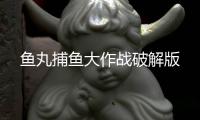 鱼丸捕鱼大作战破解版