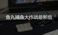 鱼丸捕鱼大作战最新版