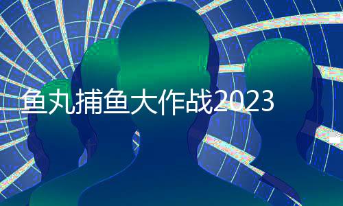 鱼丸捕鱼大作战2023版下载