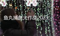 鱼丸捕鱼大作战2023版