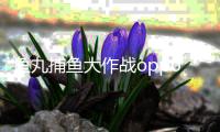 鱼丸捕鱼大作战oppo版