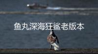 鱼丸深海狂鲨老版本