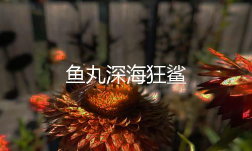 鱼丸深海狂鲨下载