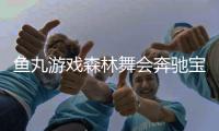 鱼丸游戏森林舞会奔驰宝马